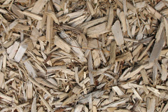 biomass boilers Swinhope
