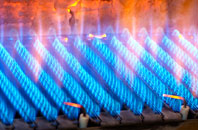Swinhope gas fired boilers